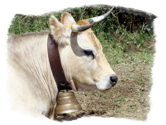 Fête de l'Agriculture à Rouans