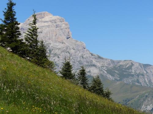 Col de l'Aup (Dévoluy)