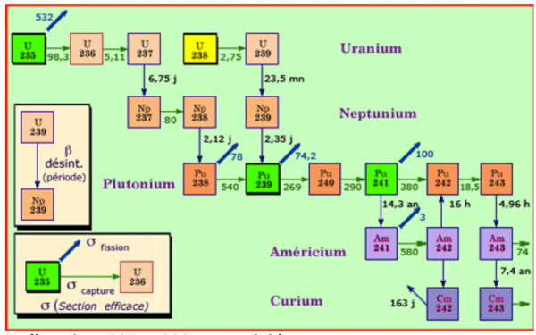 Les déchets radioactifs.