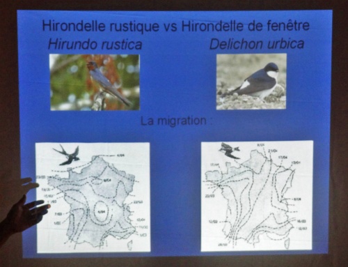 Une conférence de la LPO à Marcenay...