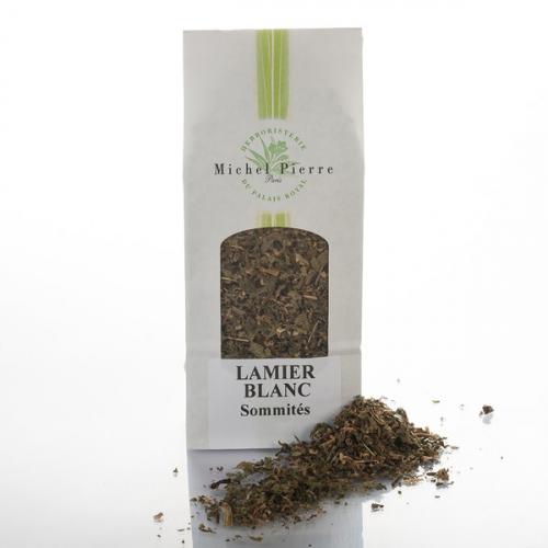 Vertus médicinales des plantes sauvages : Lamier blanc