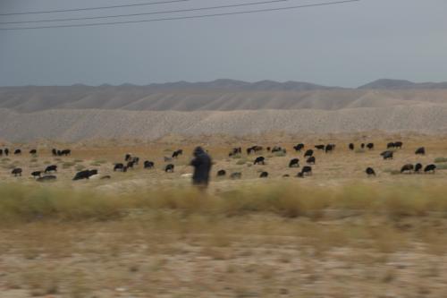 De Ferghana à Tachkent, en passant par le col Kamtchik