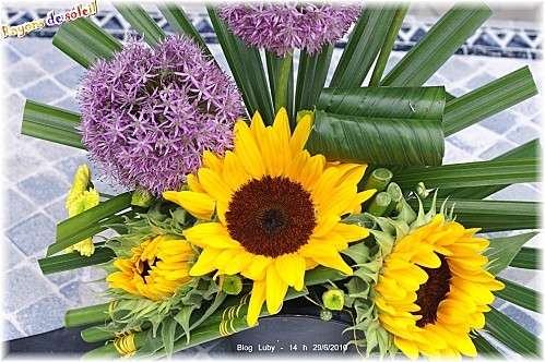 06 29 06 2010 rayons de soleil (2)