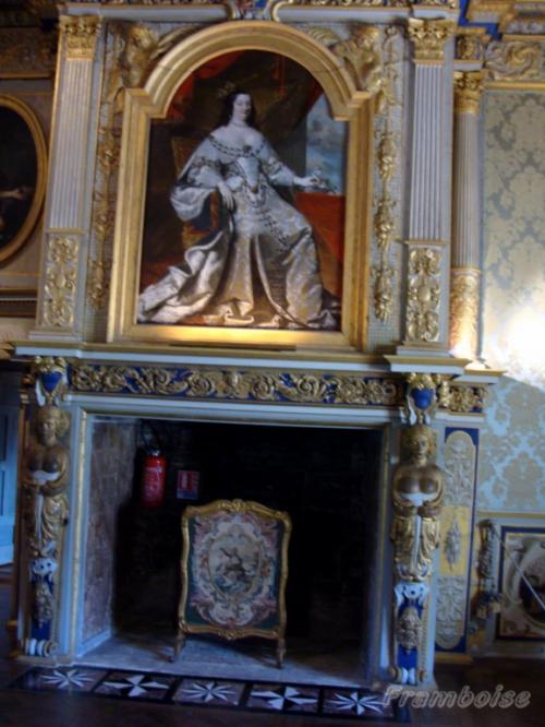 Chateau de Goulaine - Haute Goulaine - 2 -