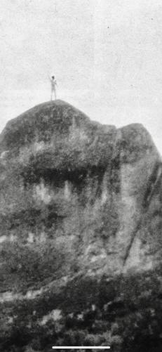 Rencontres avec des humanoïdes