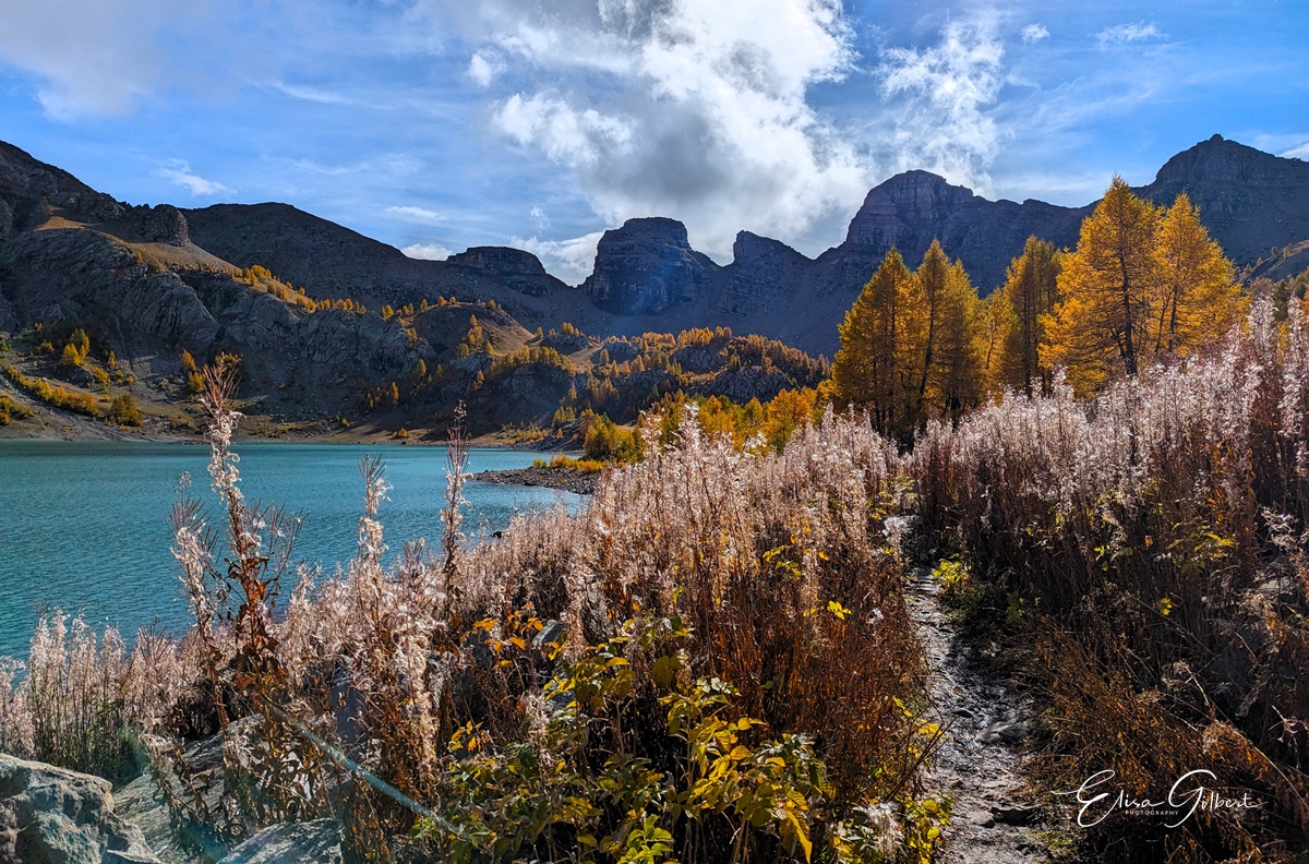 Féerie d'Automne