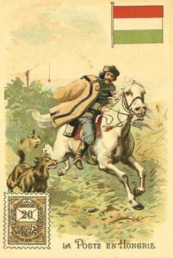 Loups de Sibérie (Canis lupus albus)
