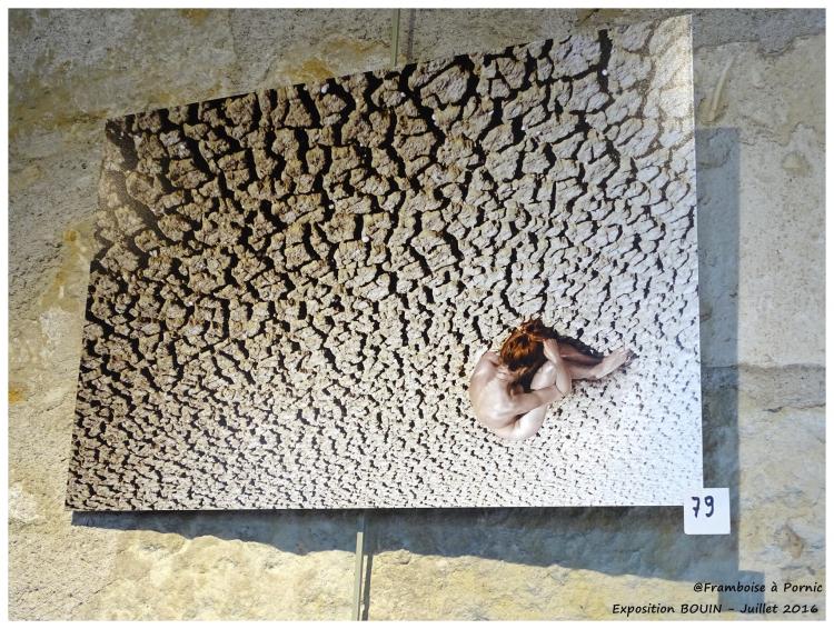 Expo Sculptures, photos et peintures - Bouin 2016