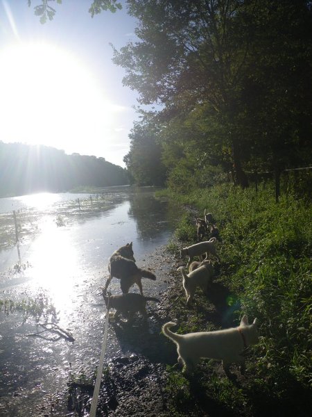 8 semaines: Ballade au lac