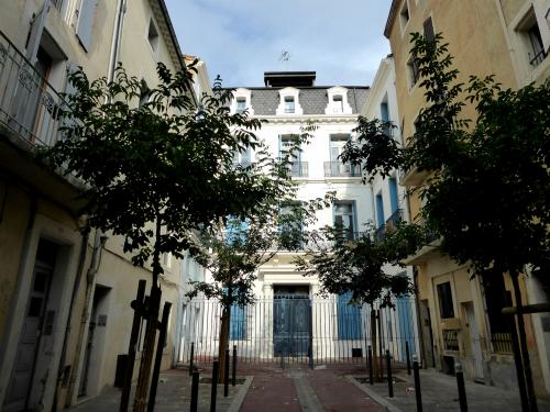 Les murs peints de Béziers : Photos Anne . L