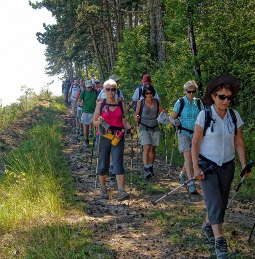 Le sentier des Cabottes 16 juillet