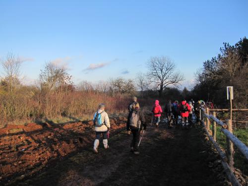 "Ahuy - Charmes aux Lièvres" - Dimanche 17 janvier 2016