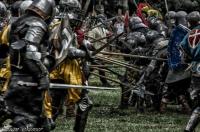 2016 - Les Lions de Crèvecoeur