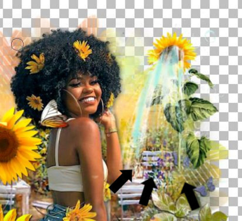Aïcha