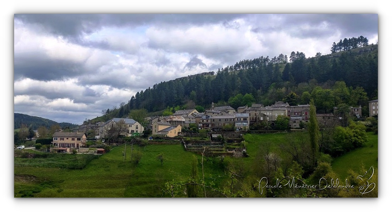 Dans le Parc National des Cévennes