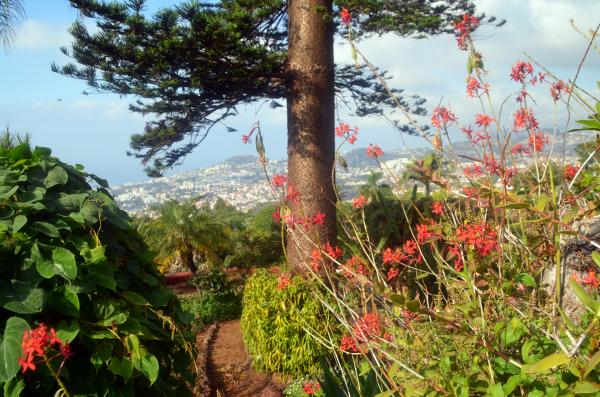 Circuit en étoile à Madère : Visite de Funchal