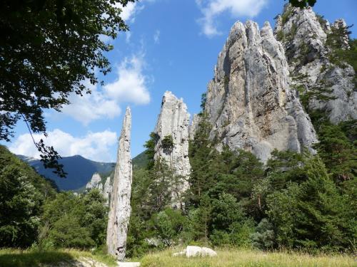 Sucettes de Borne (Haut Diois)