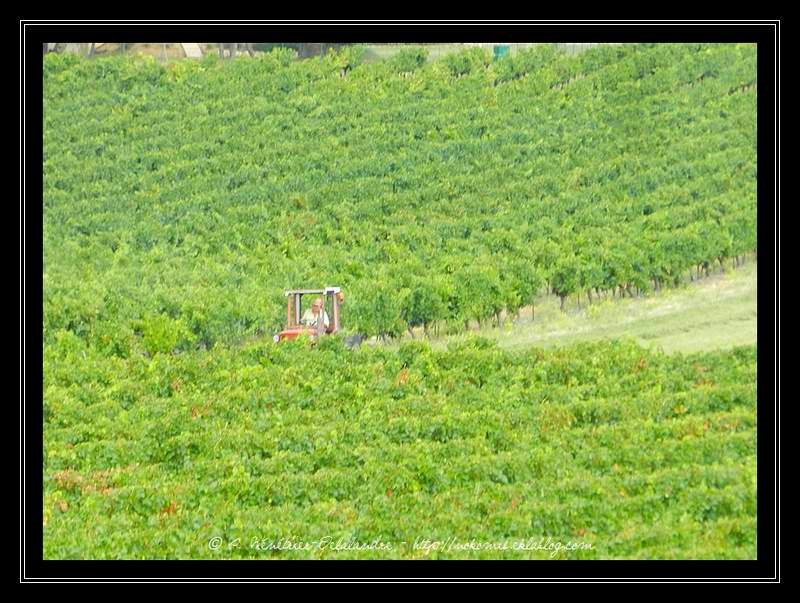 Sur la route de Foissac - Gard