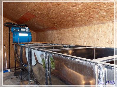 Installation de récupération d'eau d'érable dans une érablière - Petit Lac Preston - Duhamel - Outaouais - Québec - Canada
