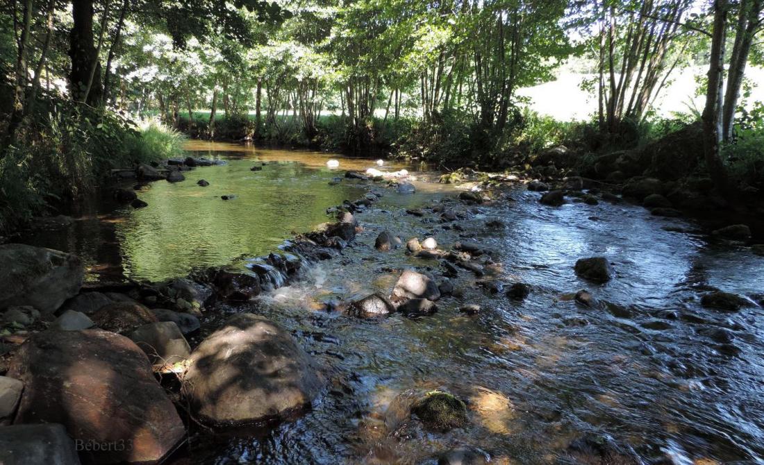 une jolie rivière