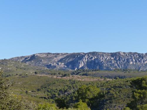 Caban