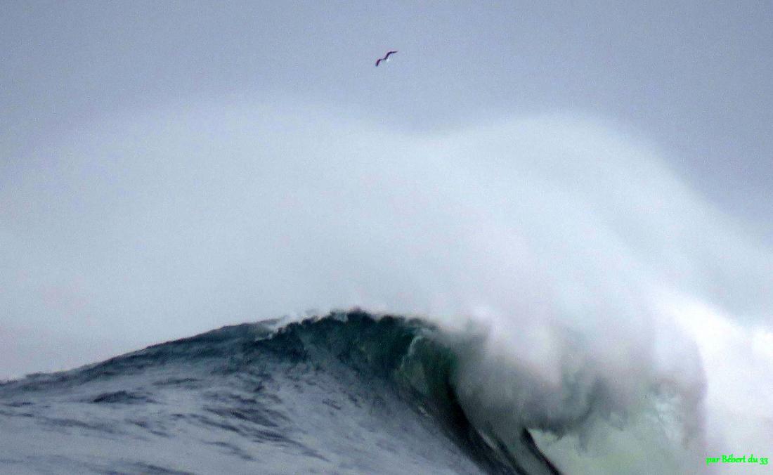 Vagues à Hossegor (40)