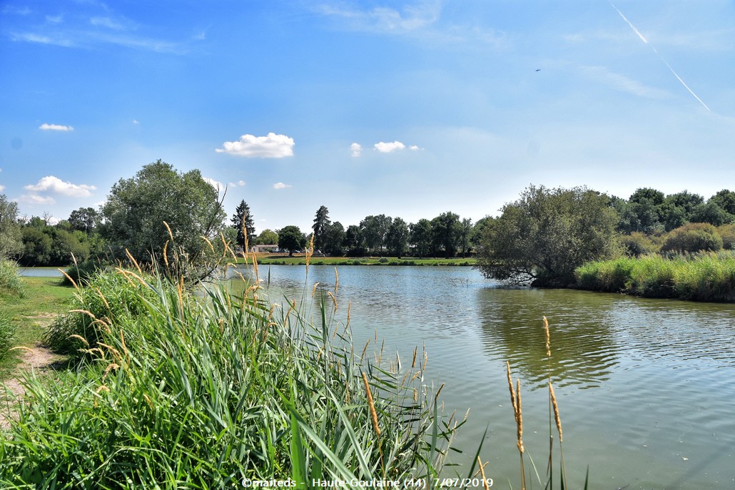 Etang Adrien Menereau - Haute-Goulaine (44)