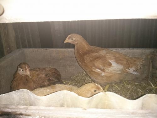 Eh Eh ça fait un bail!!!