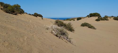 Terre d'attirance !