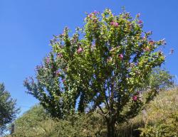 Lundi, en une, deux, trois, quatre ou plus en photos .... 