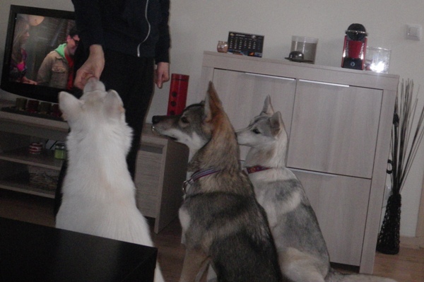 Visite chez Cali