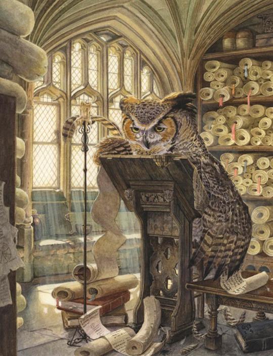 Chris Dunn