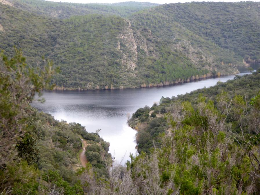 LA BELLE DES MAURES 