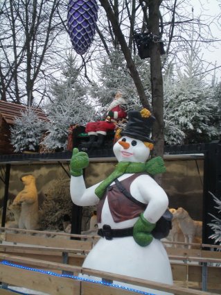 Image44.jpg