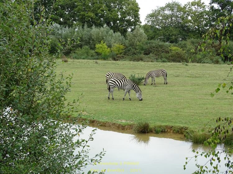Parc Branféré - Le Guerno - Morbihan - 2017