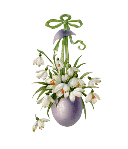 perce neige