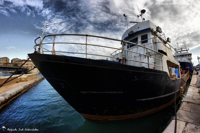 Sur le port de Sète...