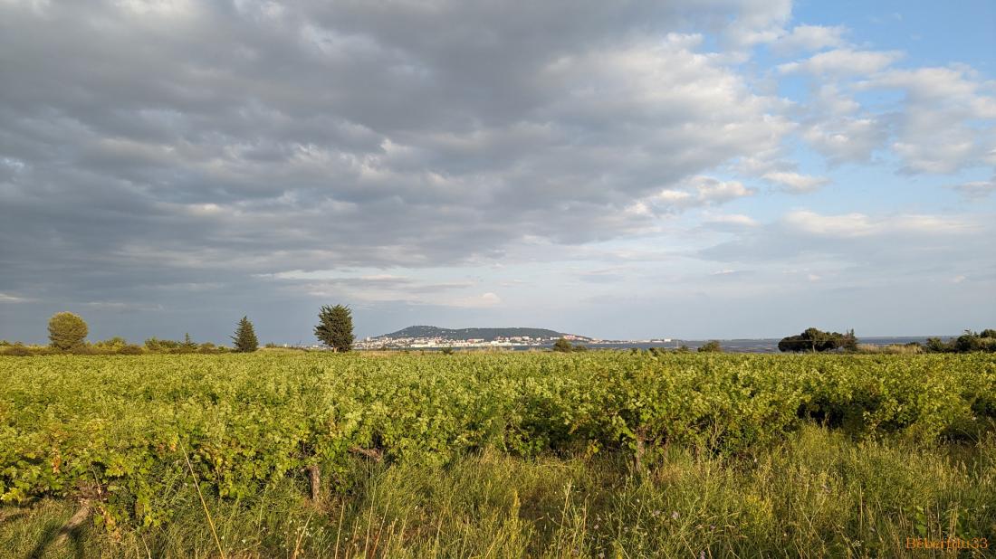 Loupian et les environs 