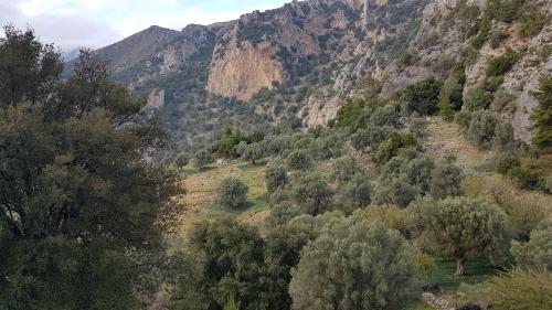 Les gorges de PLATANIA, suite...