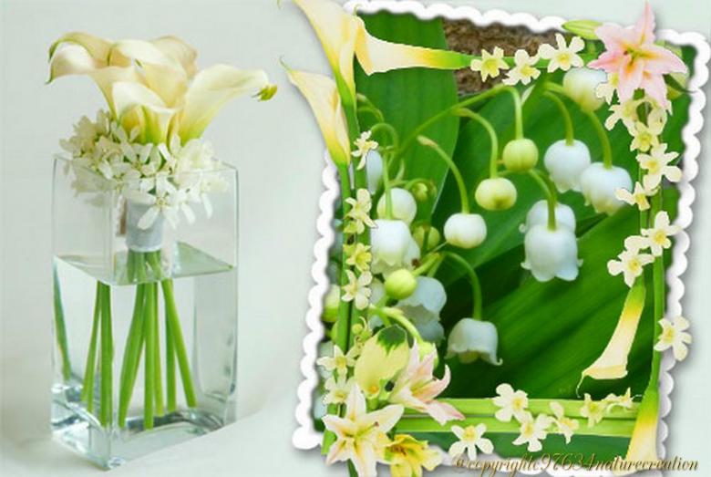 des fonds (fête du Muguet )pour vos créations