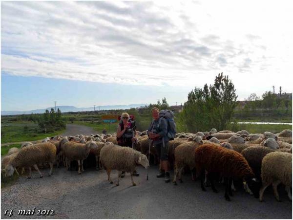 (J40) Granon / Azofra 14 mai 2012