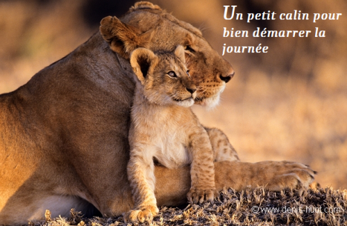 Bonjour et bon mardi 