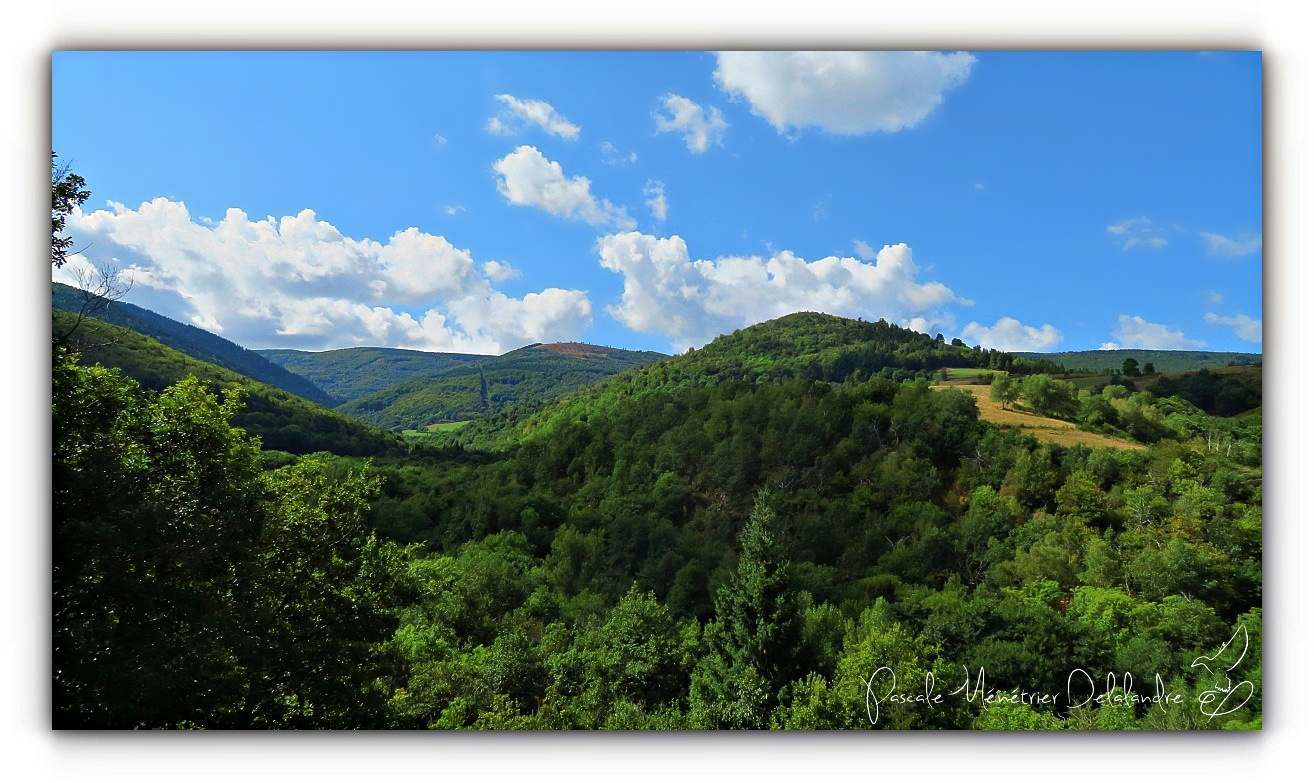 Balade au Mont Lozère
