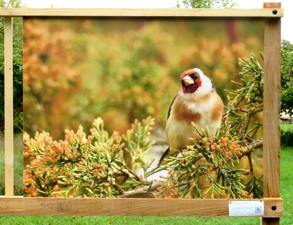 Sylviane Drezet et Claudie Hardouin ont exposé de superbes photos aux Villas du Parc....