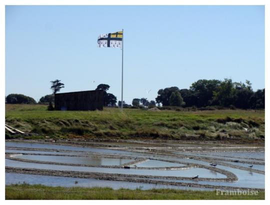 Salines de Millac Les Moutiers en Retz