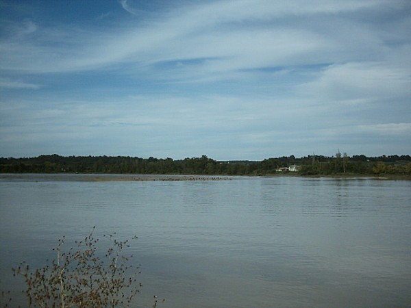 a-Saint-Pardon-au-bord-de-la-dordogne3.jpg
