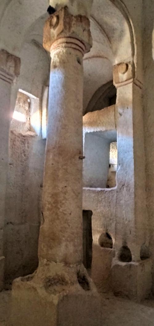 Allons cueillir la Rose !