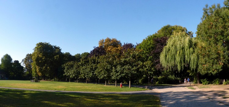 Vue du parc