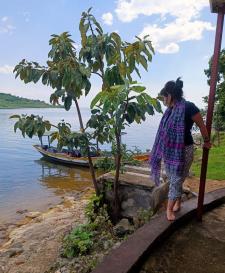 November kivu