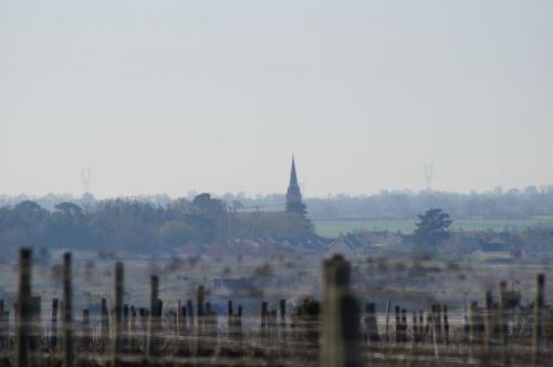 Saint Aubin de Luigné: variante Chaume